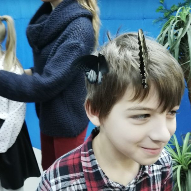 Пізнаємо світ фауни