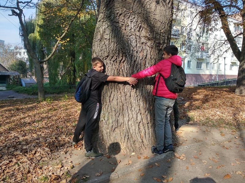 park (4)